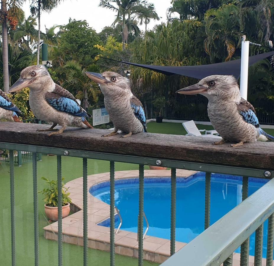 Magnetic Island Resort, Sleeps 3, Free Wifi Nelly Bay ภายนอก รูปภาพ